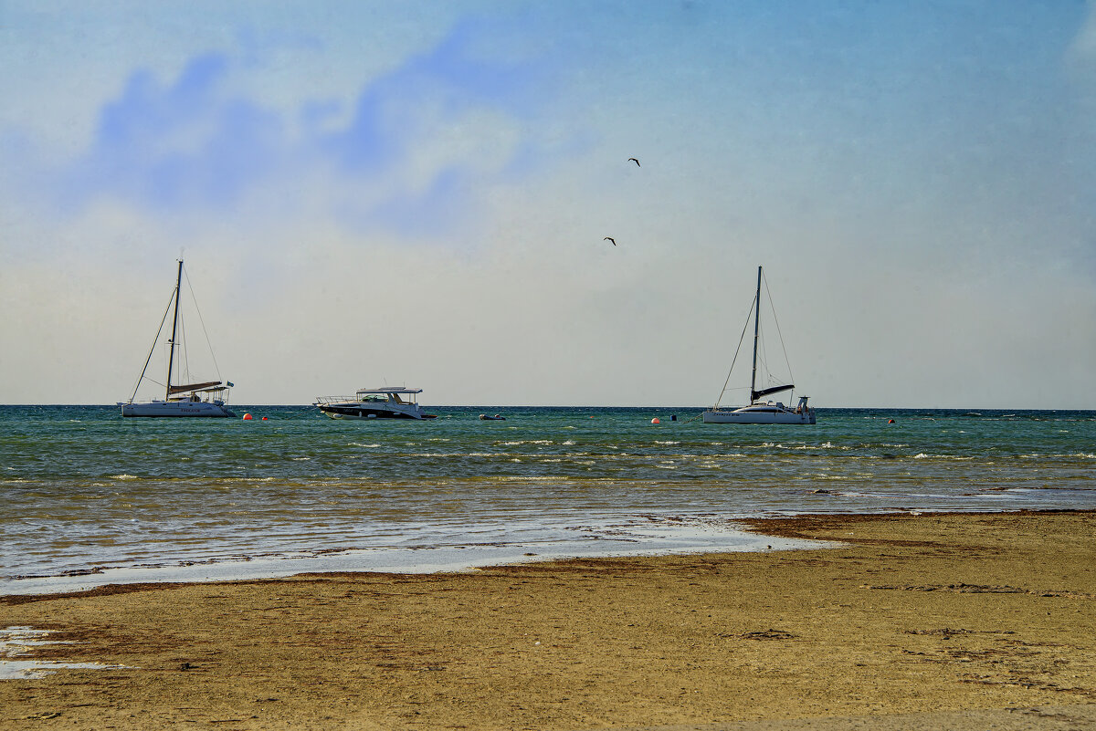 Каспий - Анатолий Чикчирный Каспий - Анатолий Чикчирный