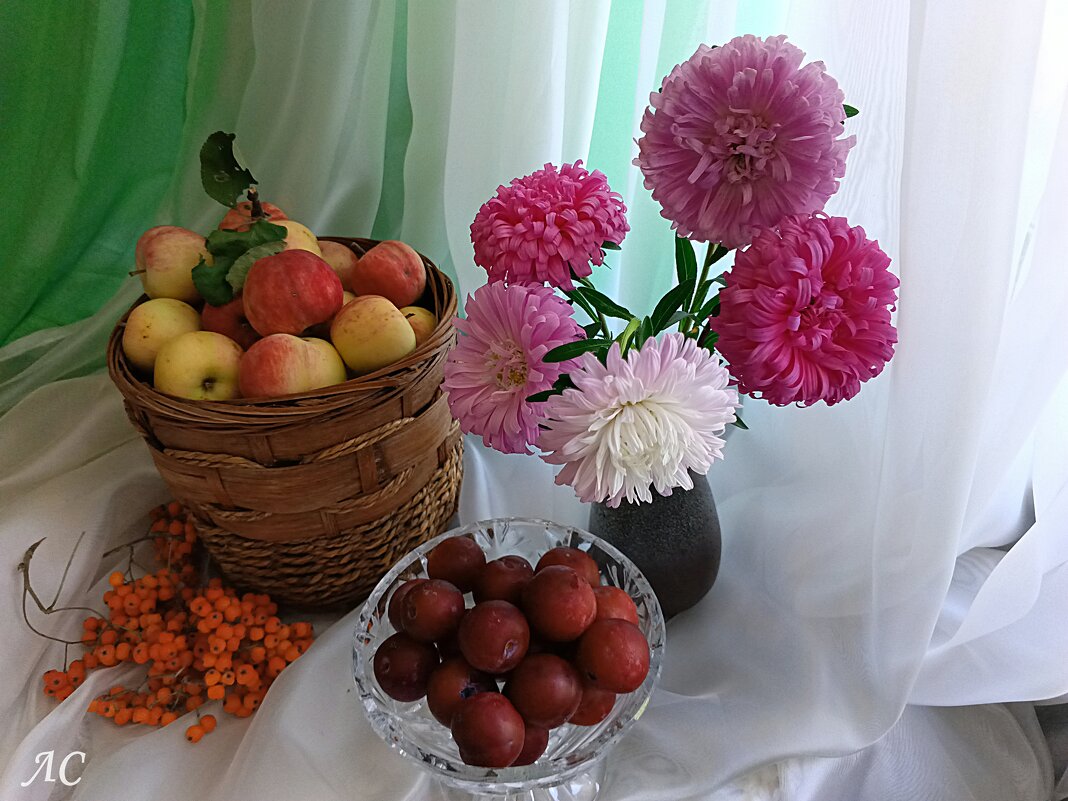 Натюрморт - Любовь Сахарова