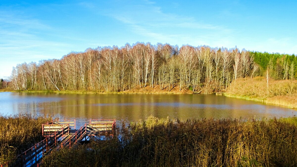 Ноябрь на Смоленщине. - Милешкин Владимир Алексеевич Ноябрь на Смоленщине. - Милешкин Владимир Алексеевич