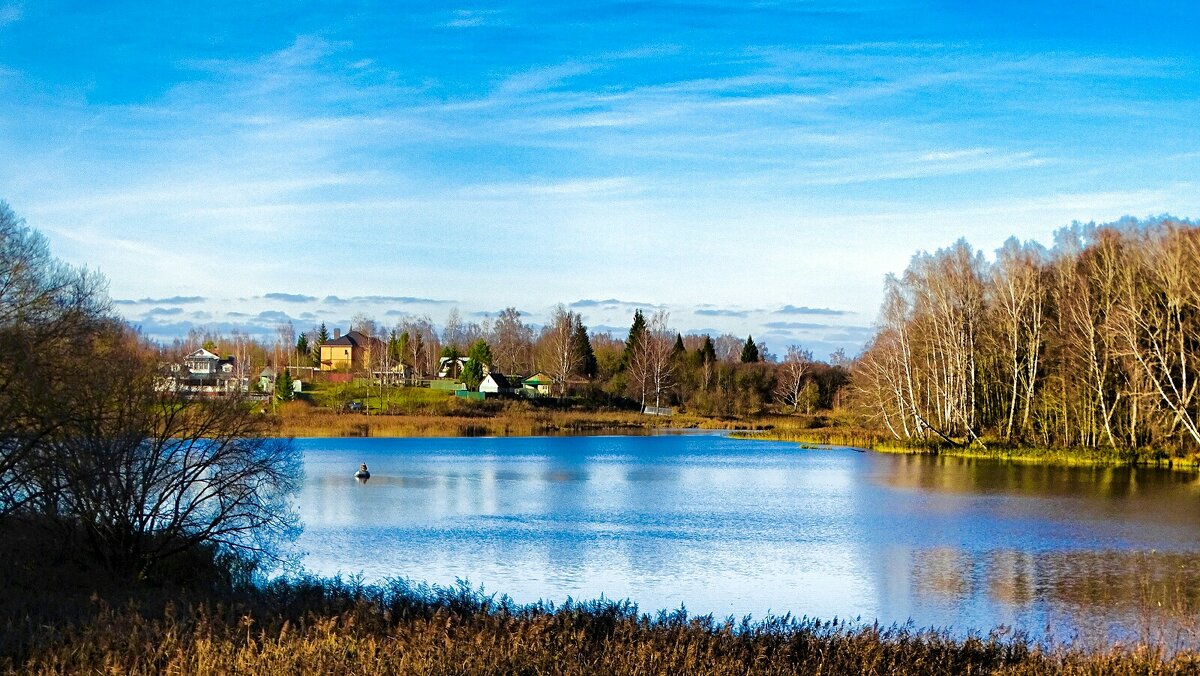 Ноябрь в деревне. - Милешкин Владимир Алексеевич 