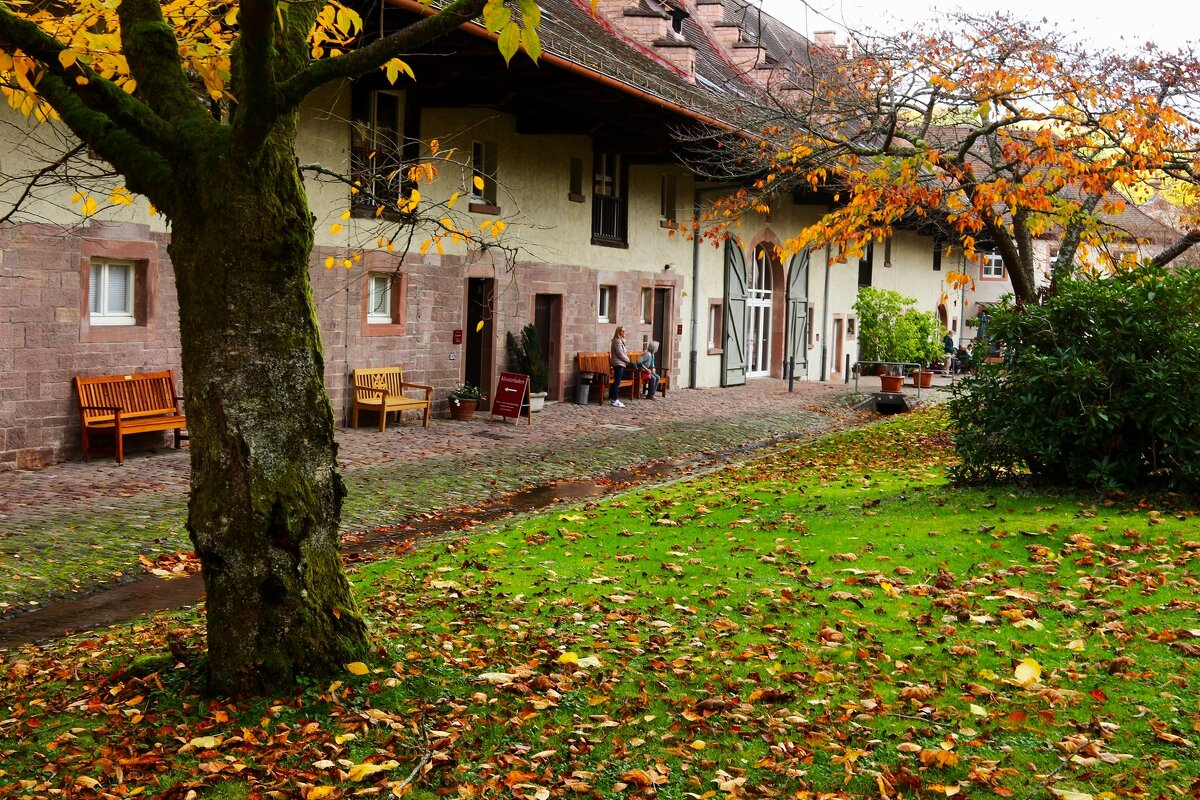 Двор монастыря Лихтенталь - Юрий. Шмаков