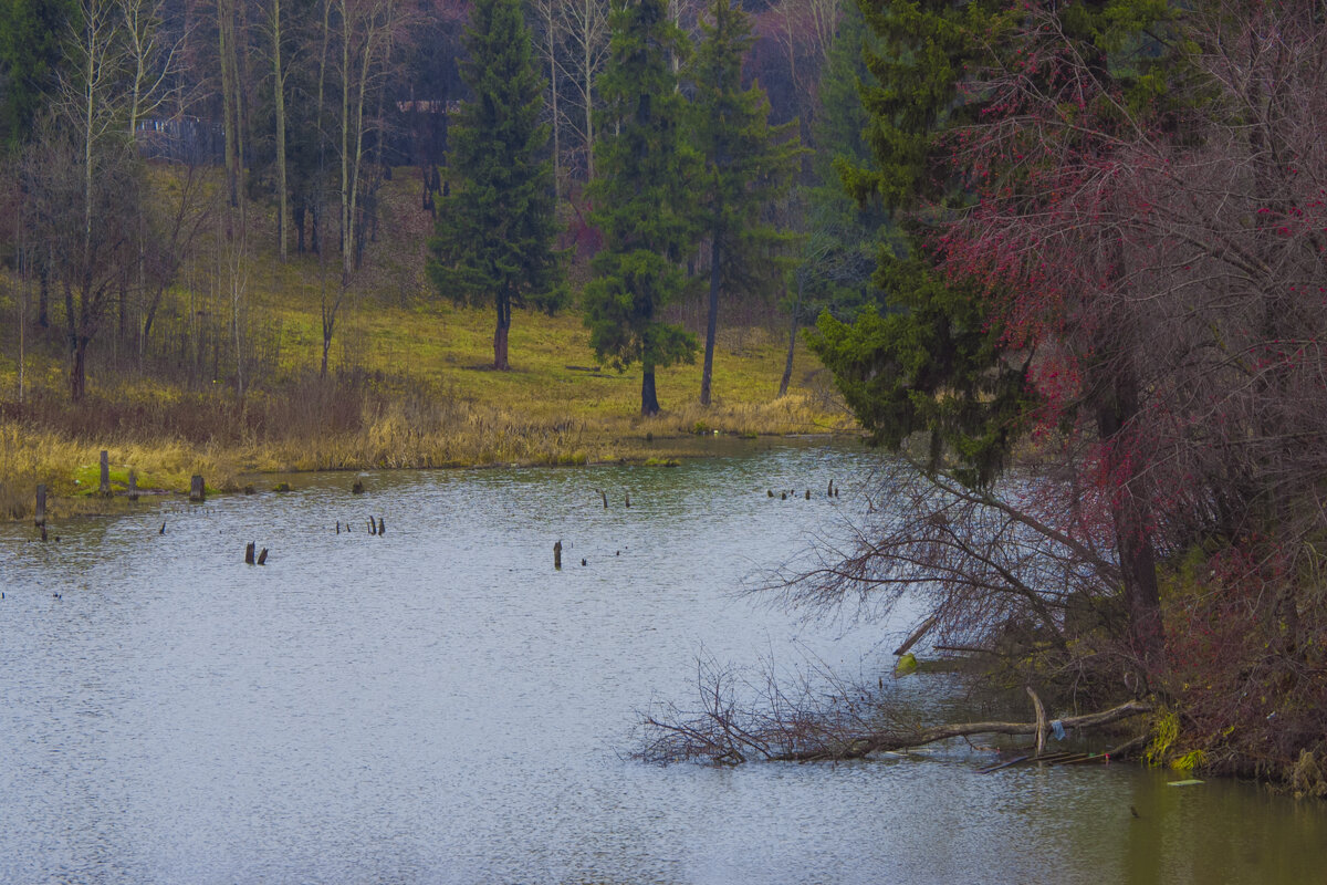 Мой город - ОСЕНЬ, НОЯБРЬ - Владимир Максимов Мой город - ОСЕНЬ, НОЯБРЬ - Владимир Максимов