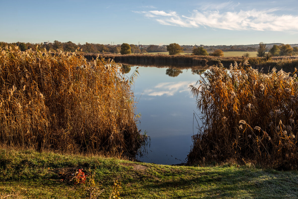 Пруд. - Сергей Воротников Пруд. - Сергей Воротников