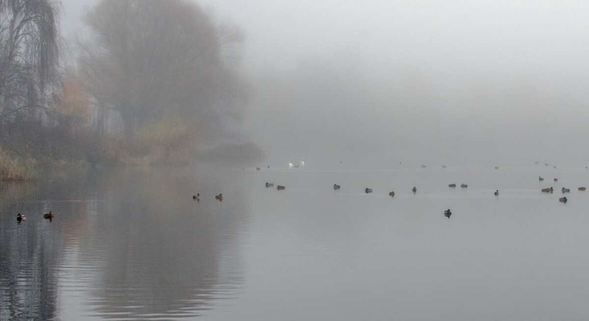 В тумане. - Владимир Безбородов