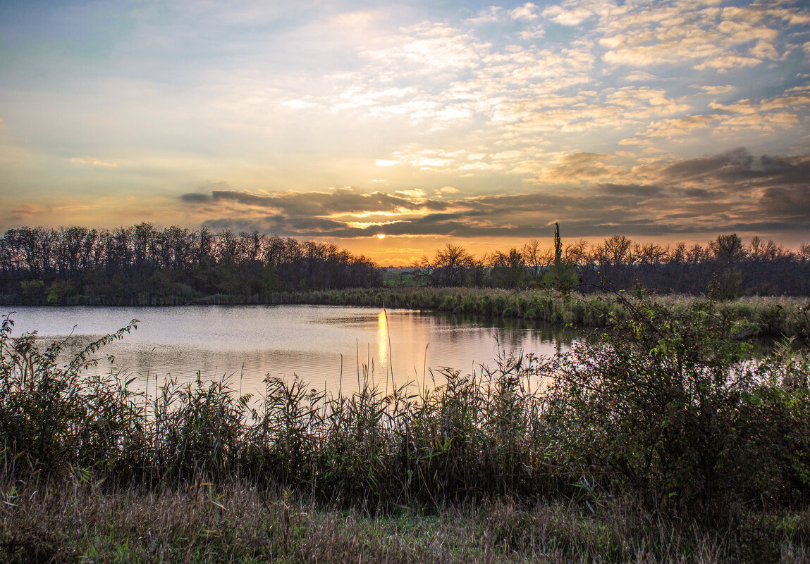 Утро на реке Халыва. - Александр 