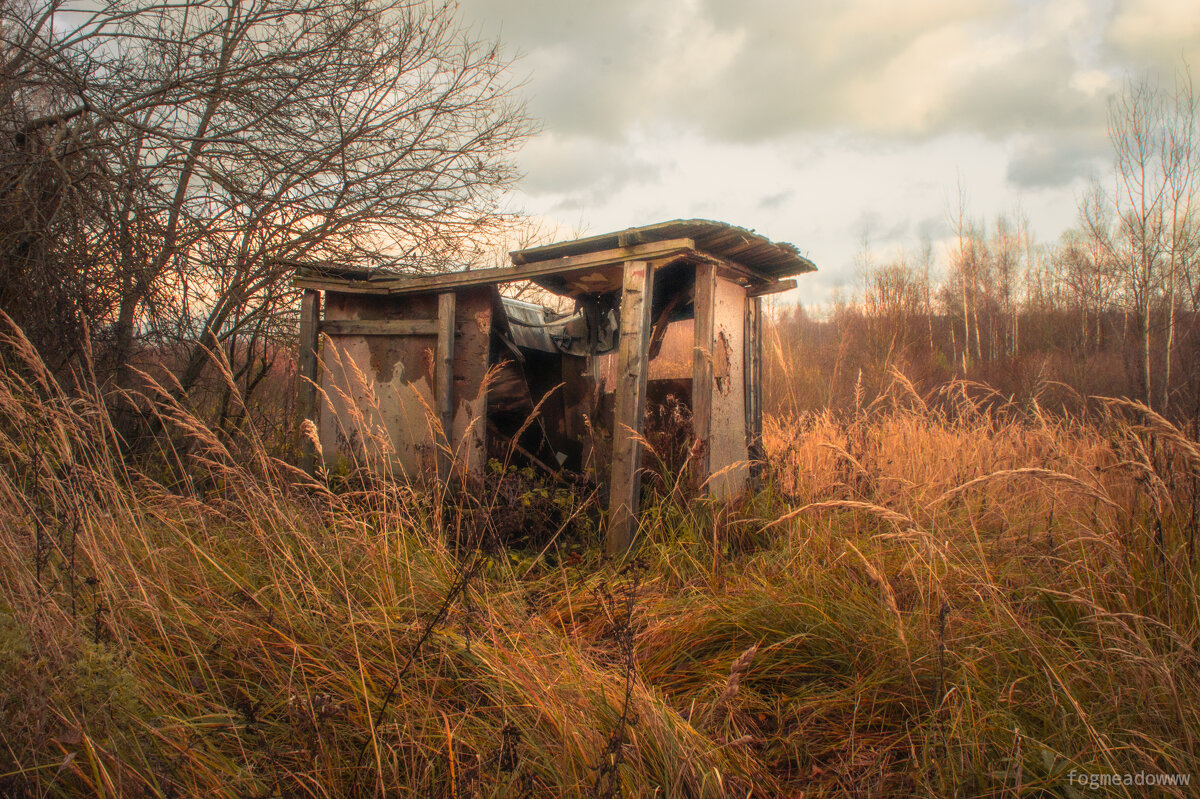 Заброшка - fogmeadowww m