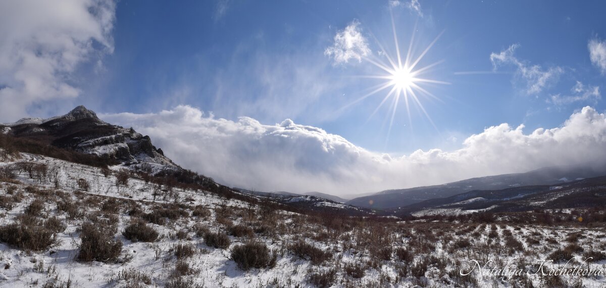 Природа Крыма - Amazing Cosmea