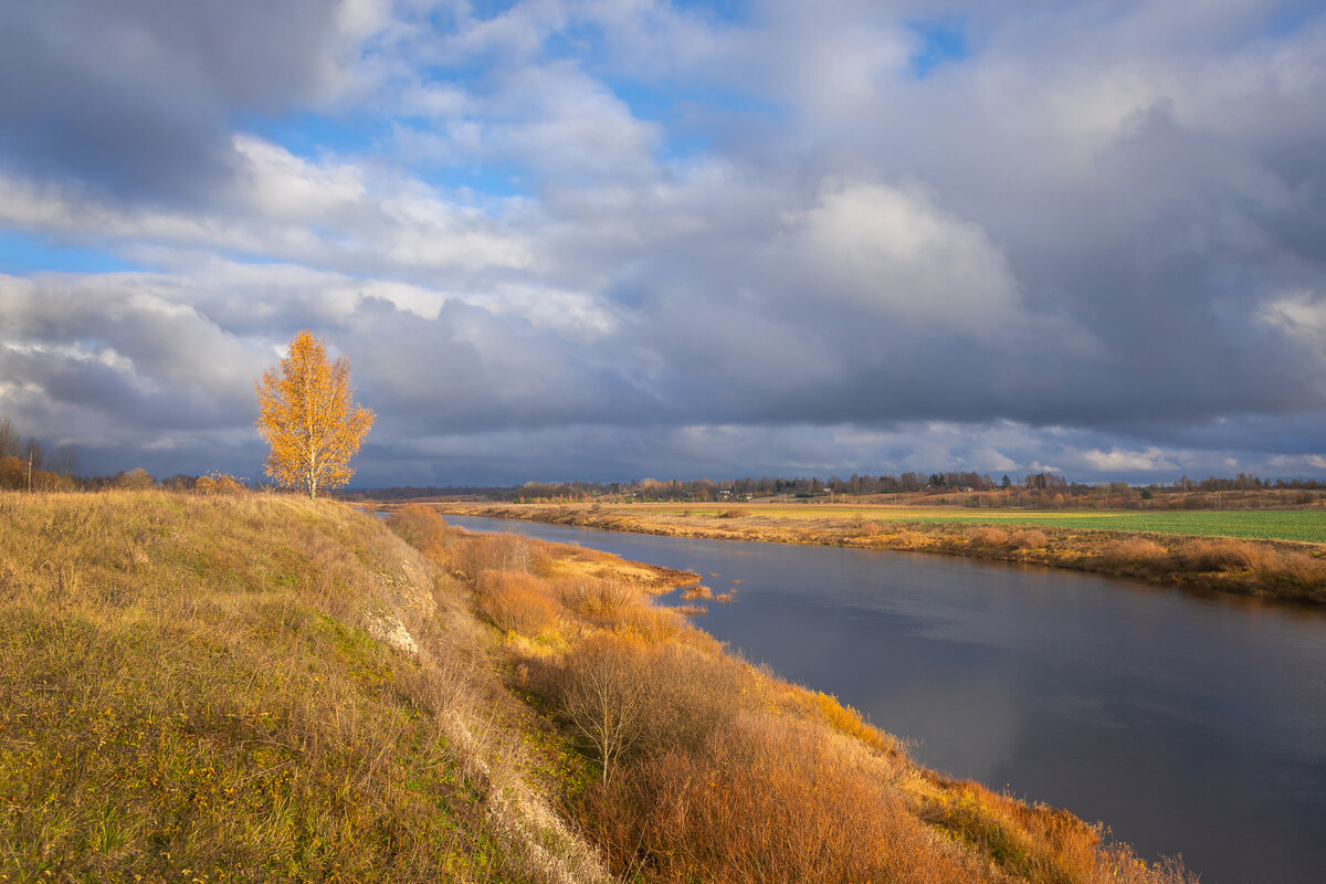 **** - Елизавета .