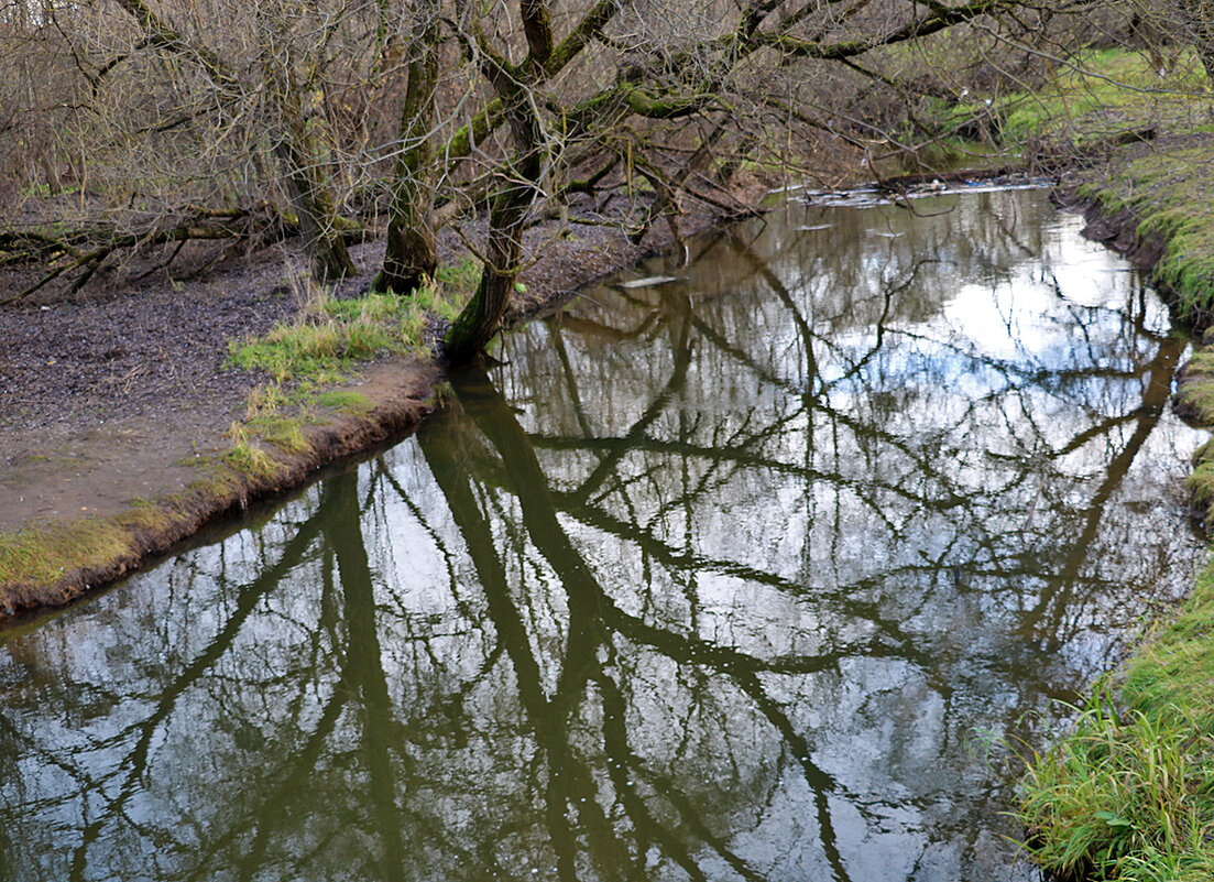 Отражение - Светлана 