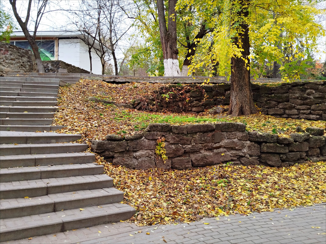 Ступени осени! - Надежда 