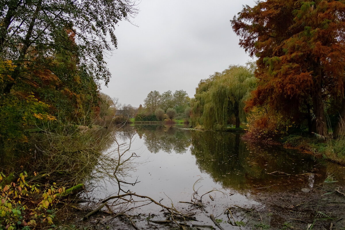 Пруд в ноябре... - Николай Гирш Пруд в ноябре... - Николай Гирш