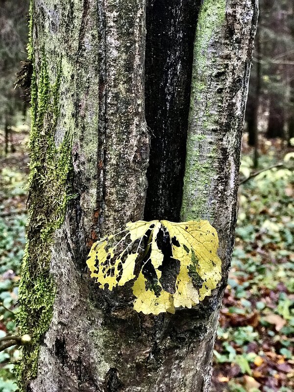 Ажурная обработка!) - Любовь Ажурная обработка!) - Любовь