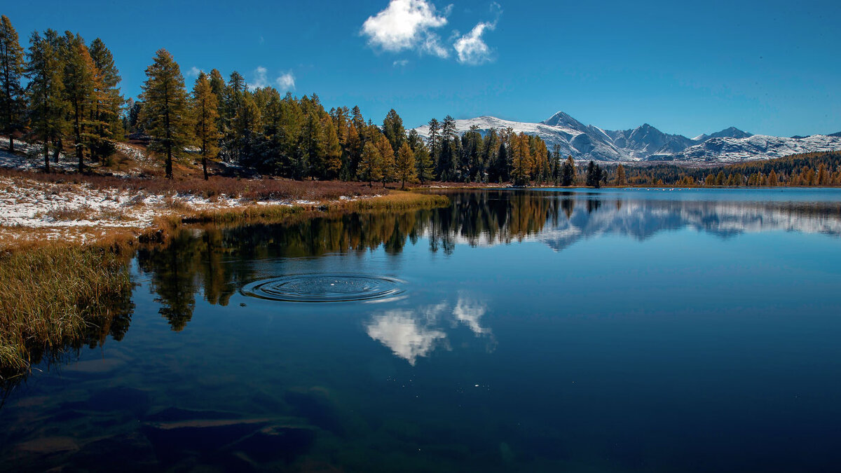 *** - владимир 