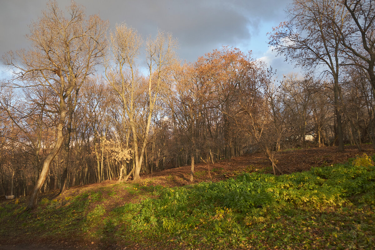 Разноцветный ноябрь - Олег Манаенков