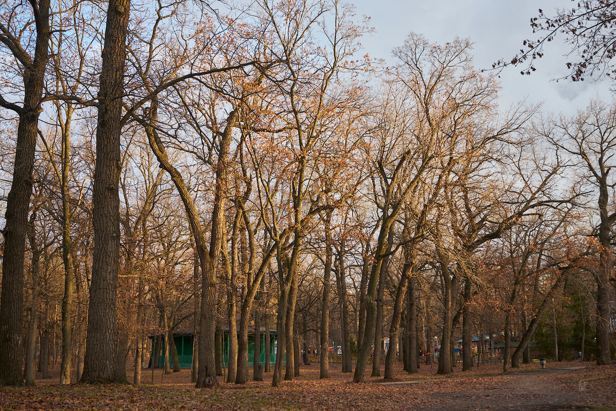 Комната смеха - Олег Манаенков