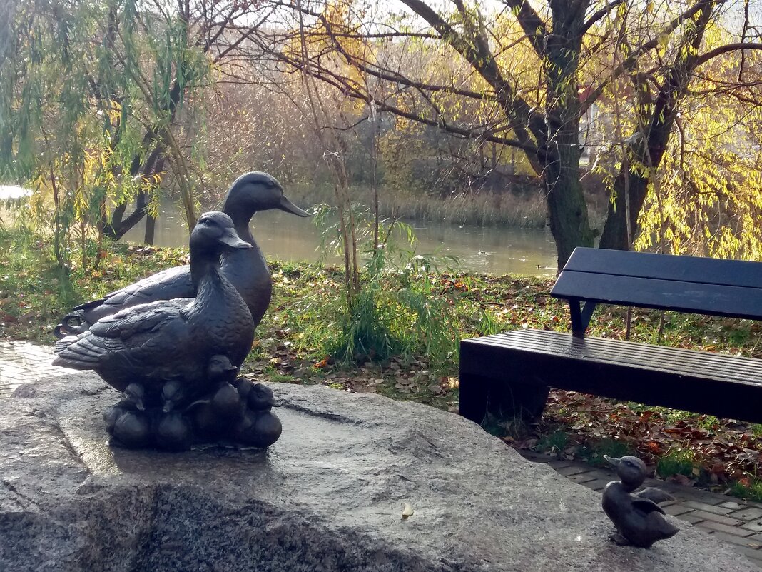 Утиные истории на берегу - Galina Solovova