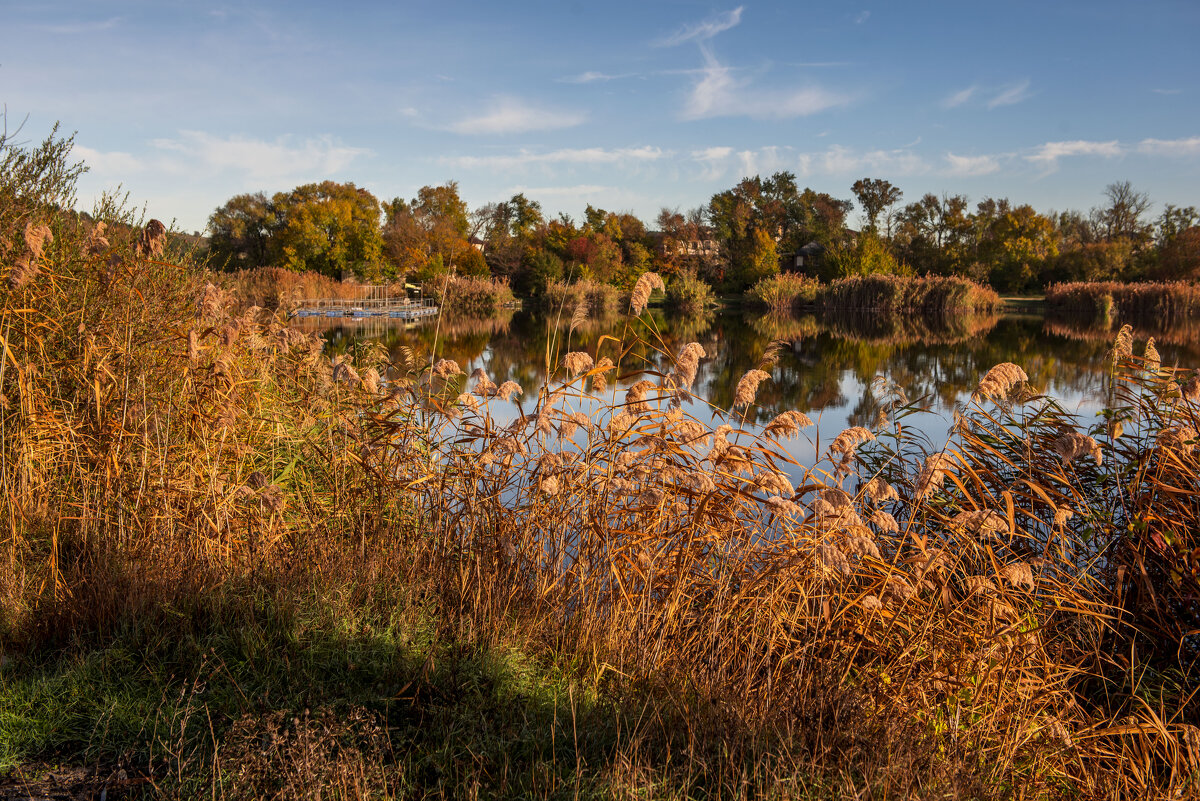 Пруд у поселка. - Сергей Воротников