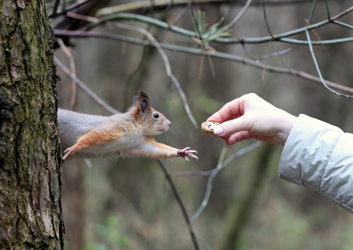 Падаждитеее!!! - Александр Кондаков