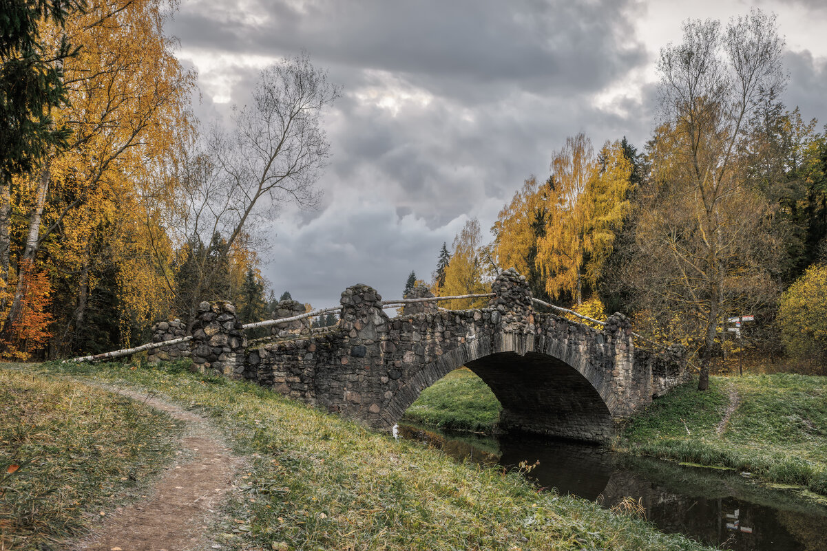Павловск - Владимир Колесников