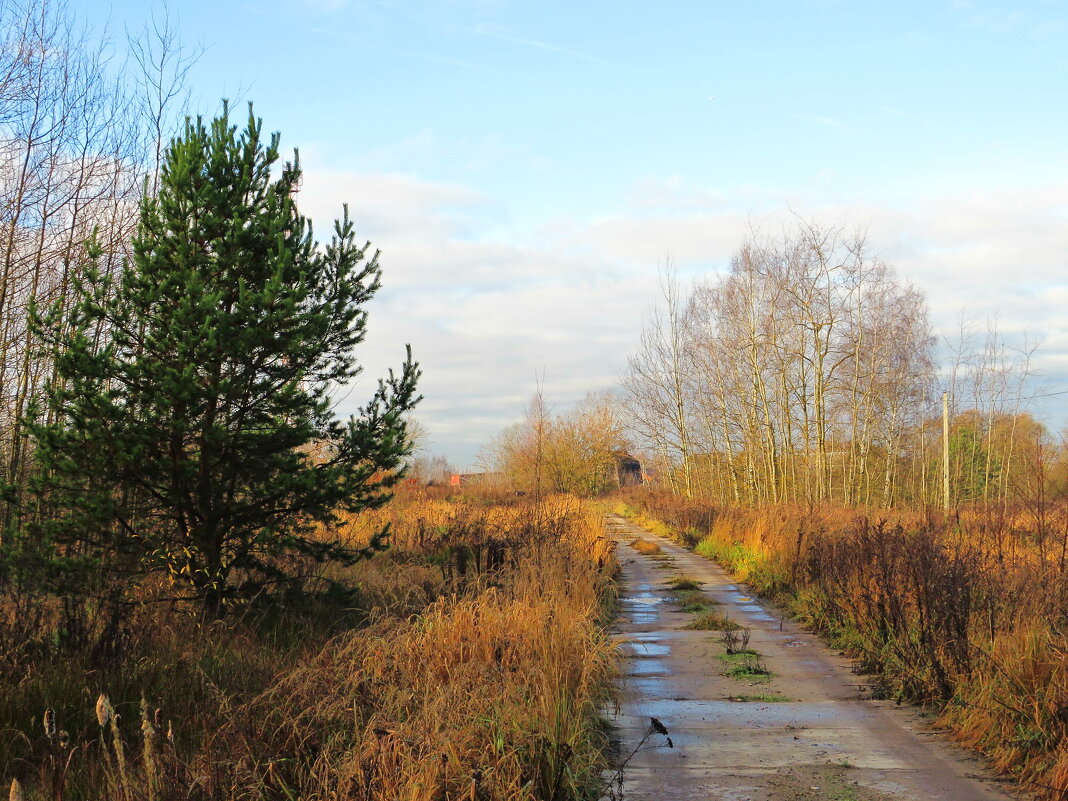 Дорога - Андрей Снегерёв