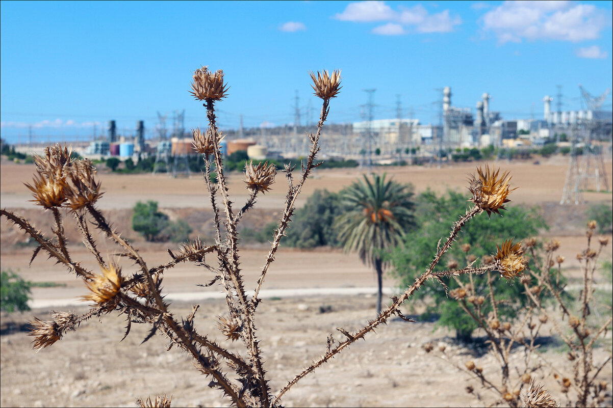 Октябрь - Валерий Готлиб