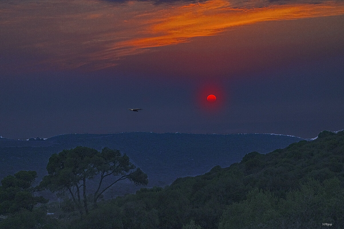 Закат в Хайфе - Shmual & Vika Retro