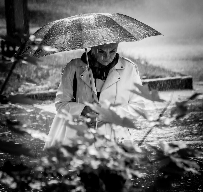 Дождь - Андрей 