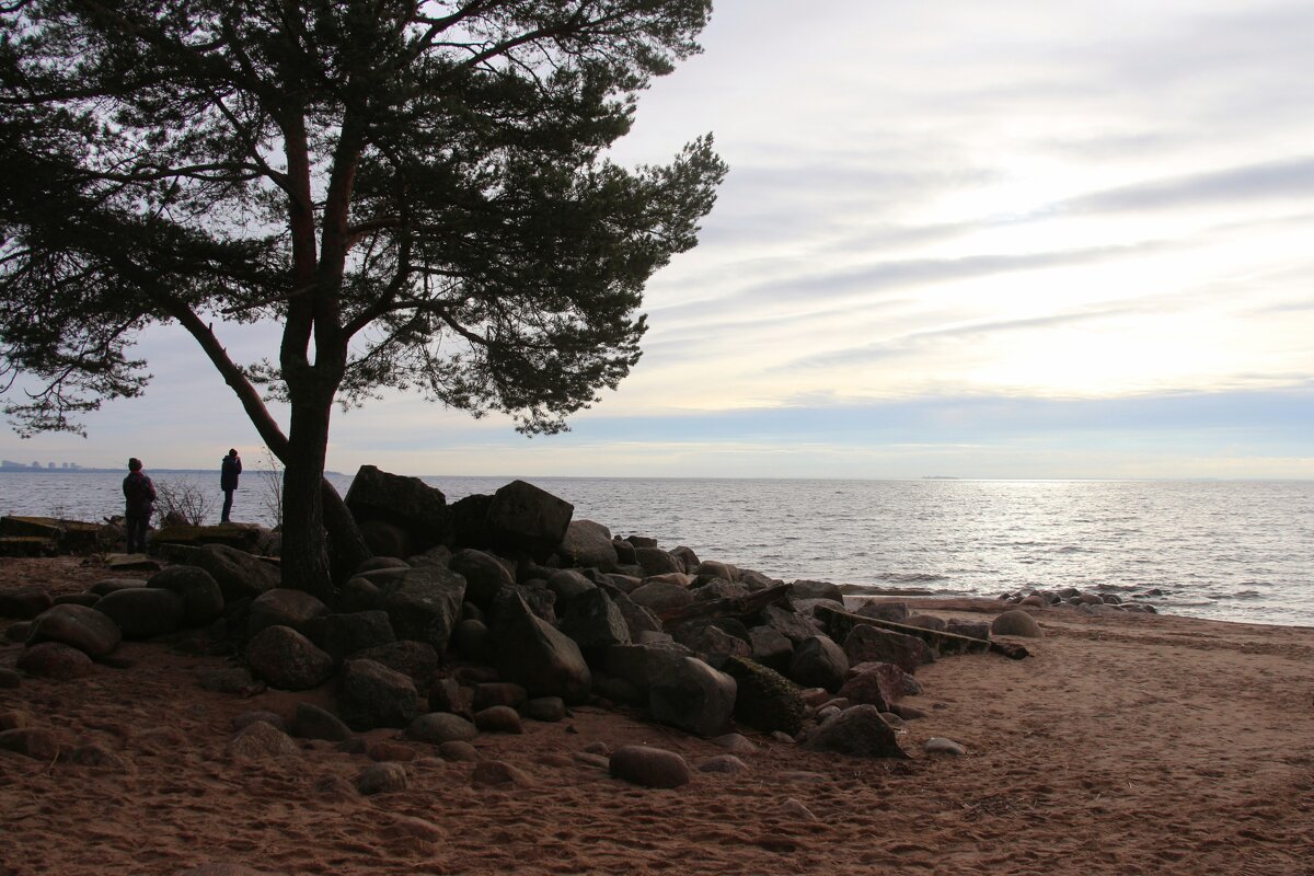 Репино - Наталья Герасимова