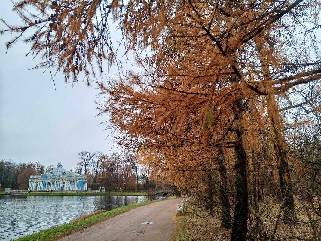 Лиственница - Сапсан 