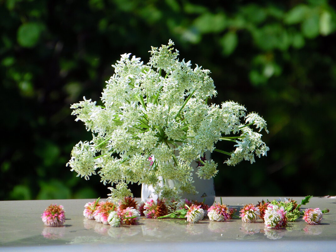 Полевой букетик. - nadyasilyuk Вознюк