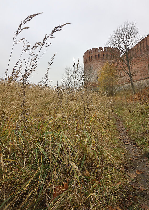 у Смоленской крепости - Тарас Золотько