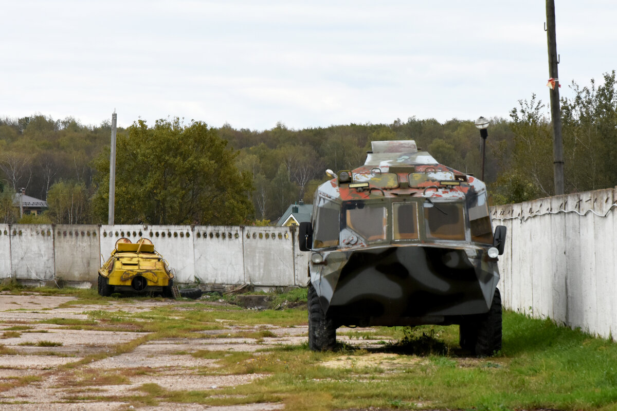 Московская область. Серпухов. Ферма «Русский страус». - Наташа *****