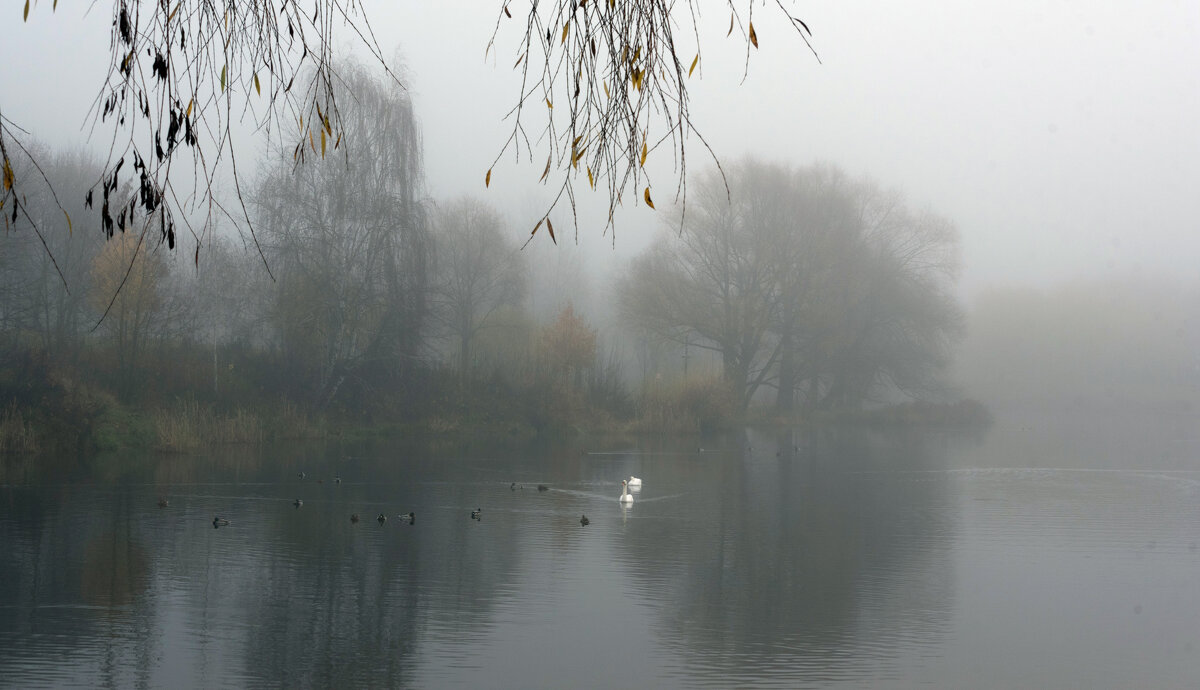 В тумане. - Владимир Безбородов