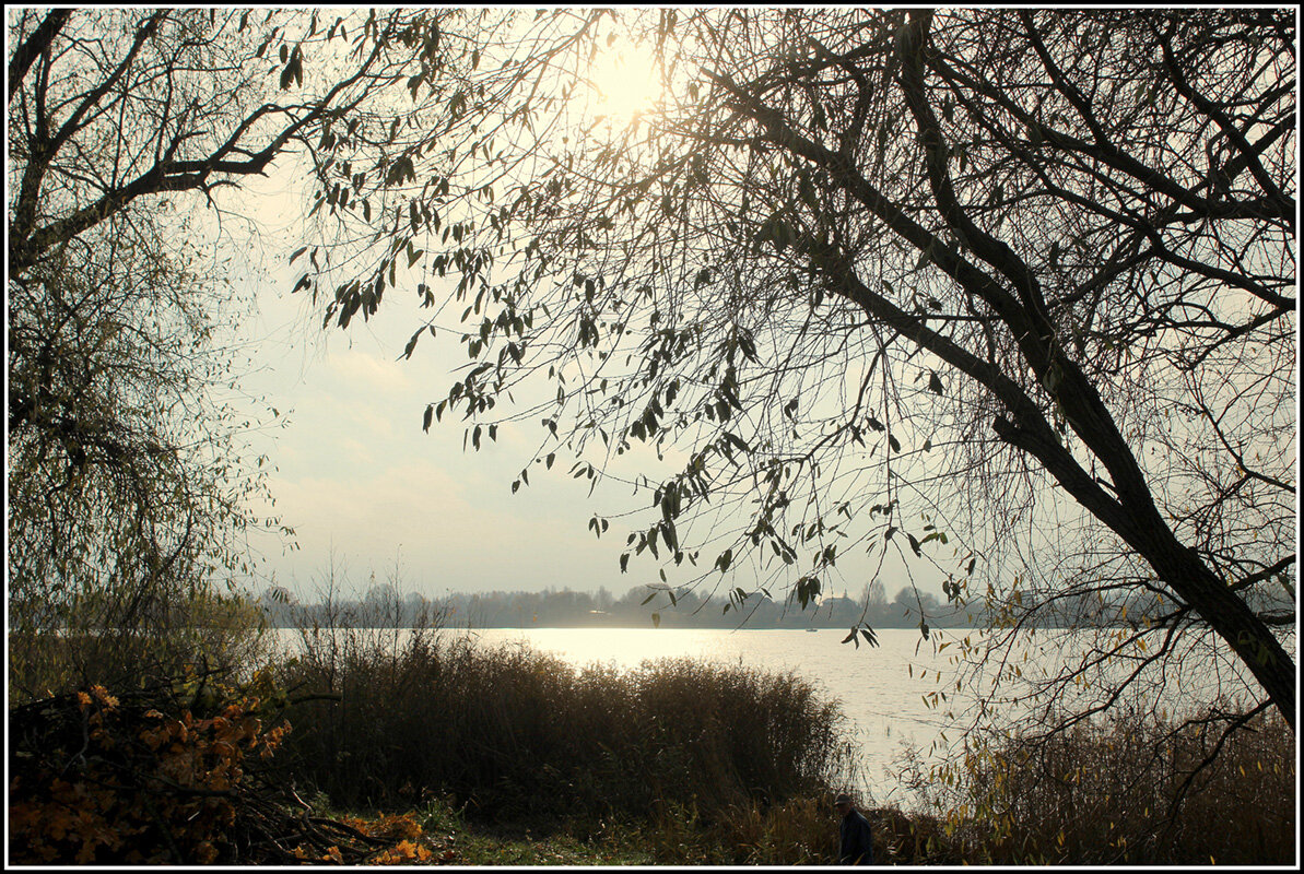 Ноябрь.... - Aleksandr Gal