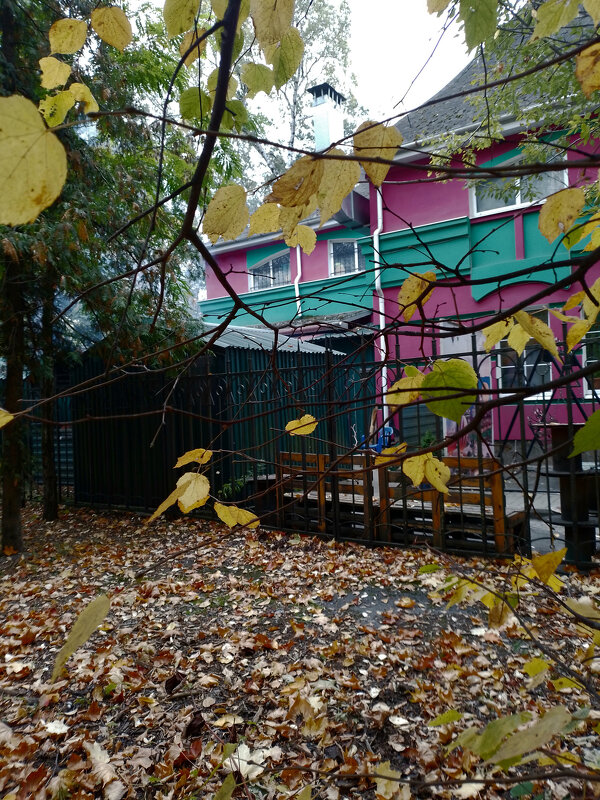 *** - Валентина Береснева