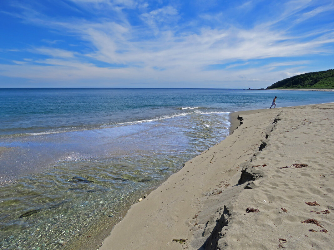 1. Из моря в речку на нерест. - ИРЭН@ . 1. Из моря в речку на нерест. - ИРЭН@ .