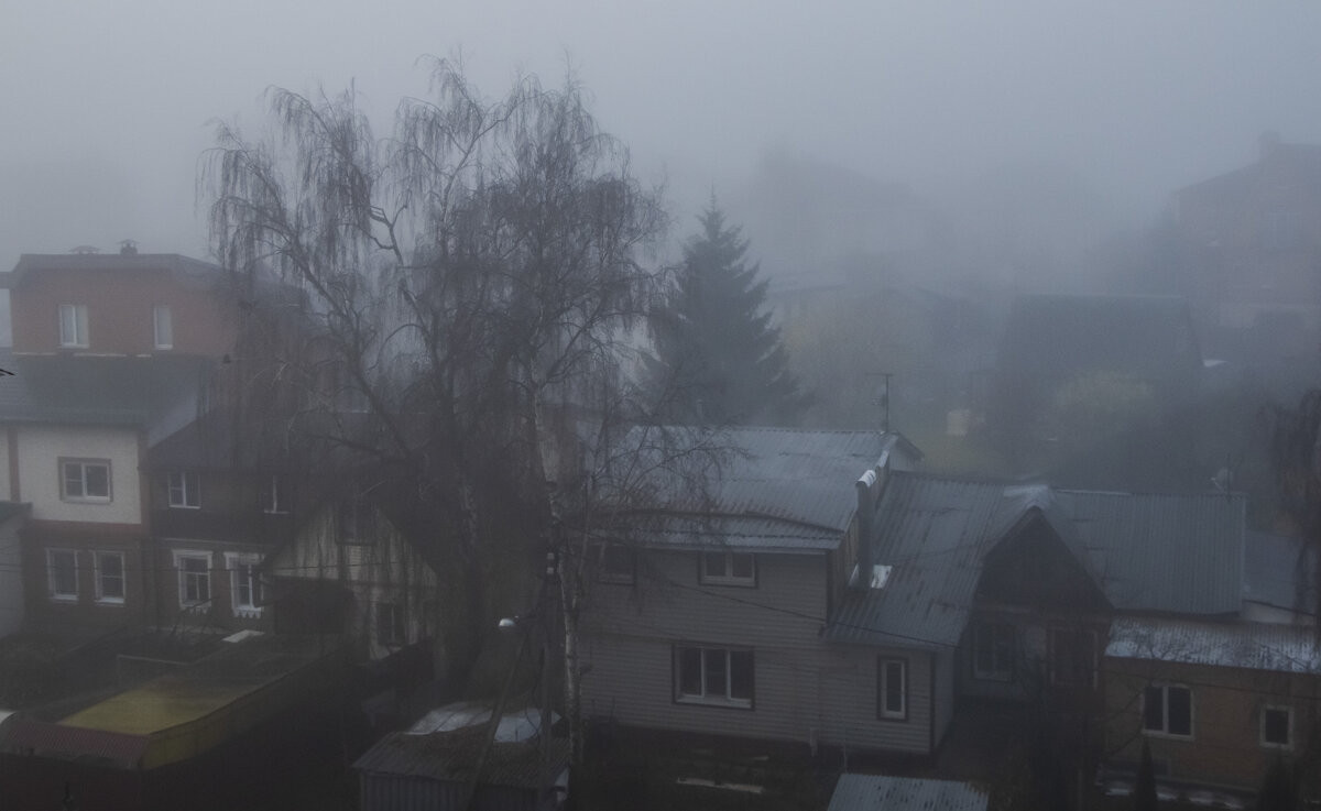 Ноябрь, начало дня. - Петр Беляков Ноябрь, начало дня. - Петр Беляков