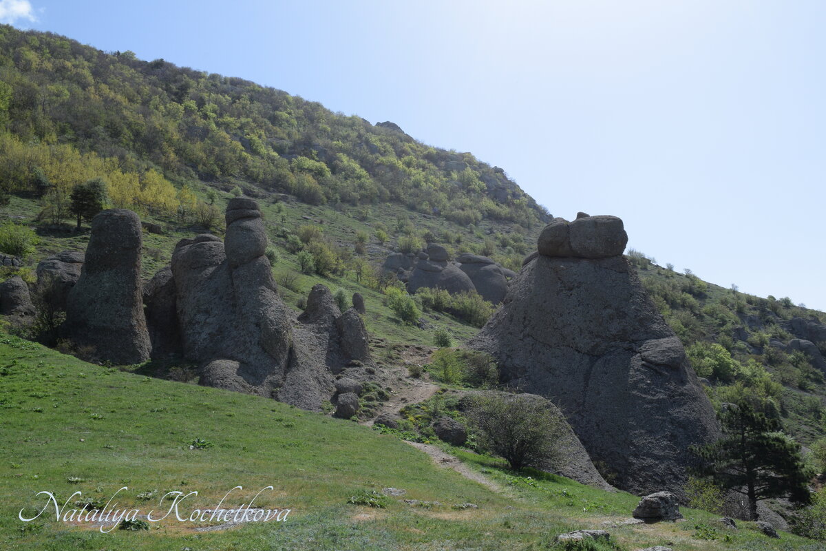 Природа Крыма - Amazing Cosmea