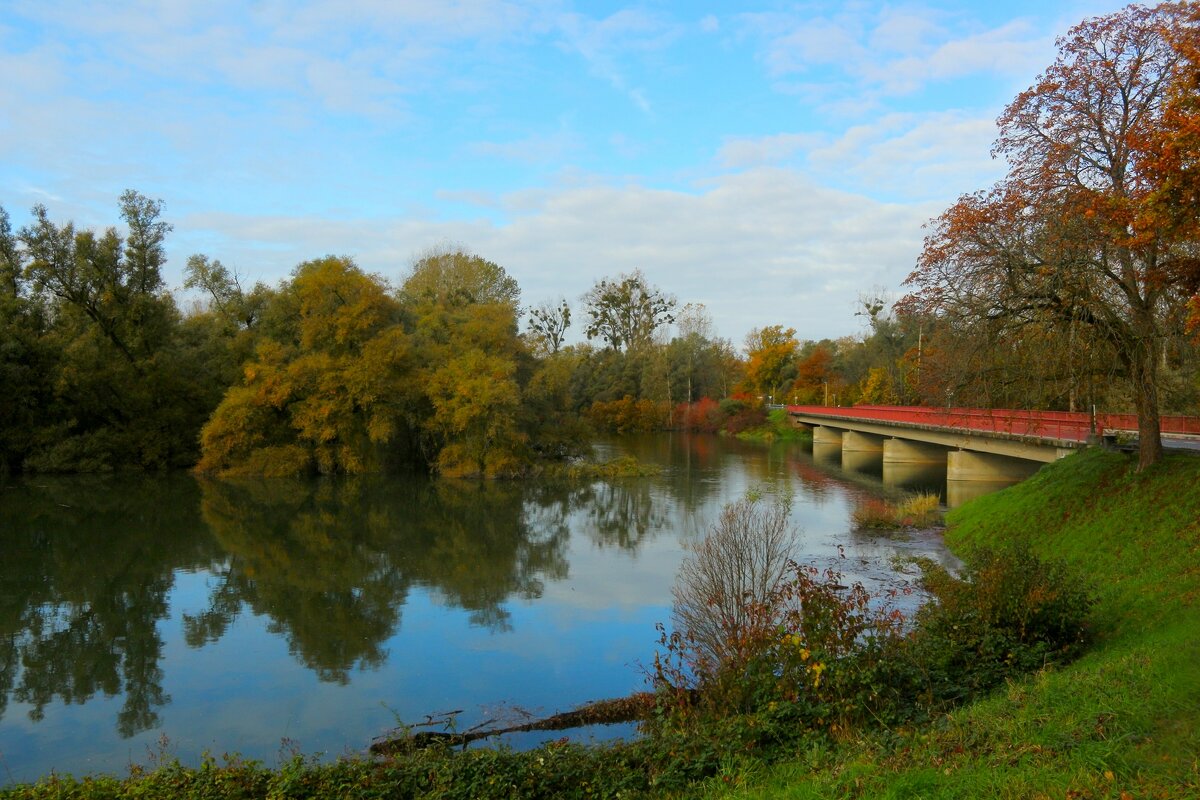 Ноябрьский день - Юрий. Шмаков
