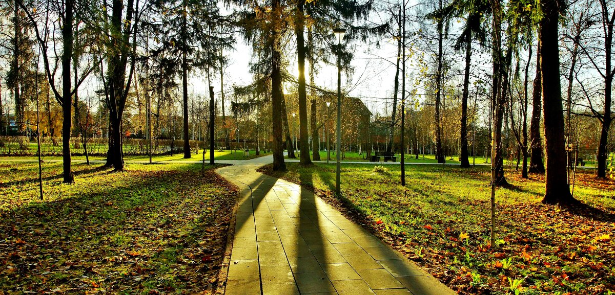 ноябрьское солнце - АЛЕКСАНДР 