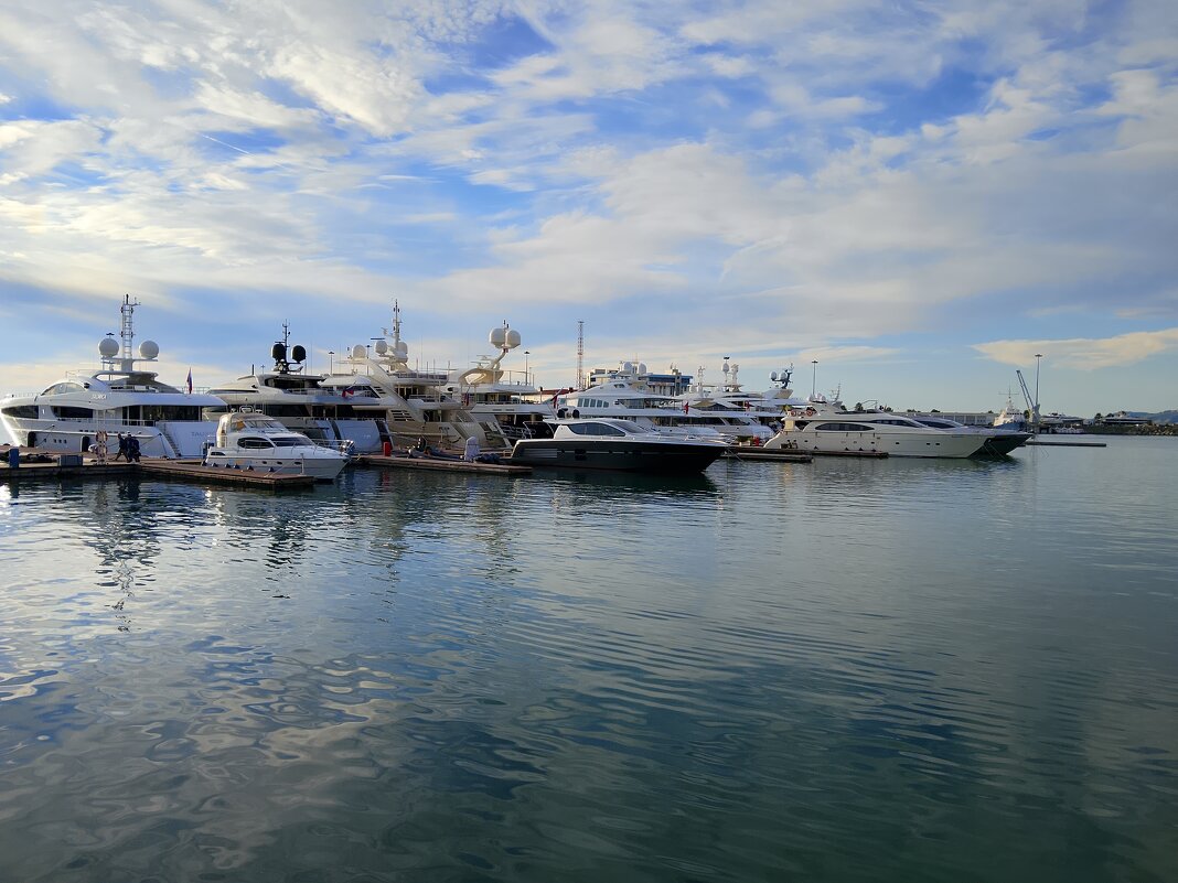 ПОРТ СОЧИ - Tata Wolf