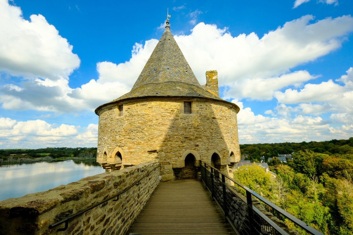 Замок Сюсиньо 14-ый век (4) - Георгий А