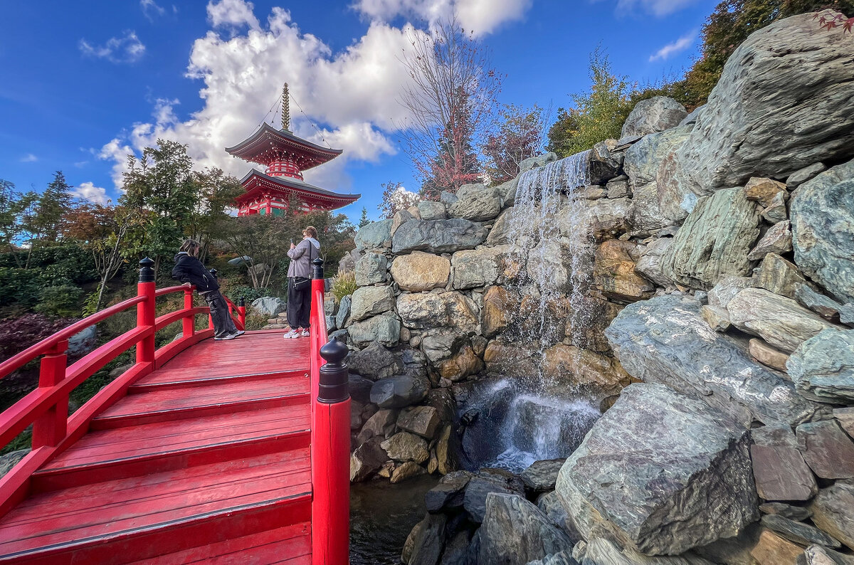 Японский сад в парке Галицкого Большой водопад Отаки - Galina 