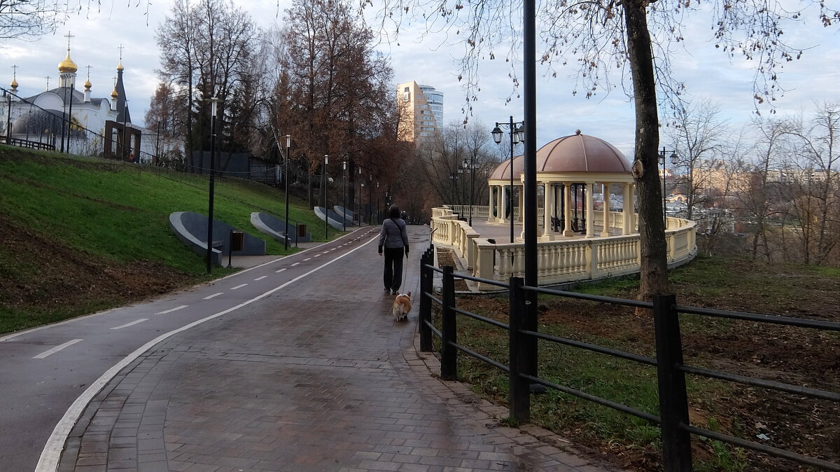 На утренней прогулке. - Люба 