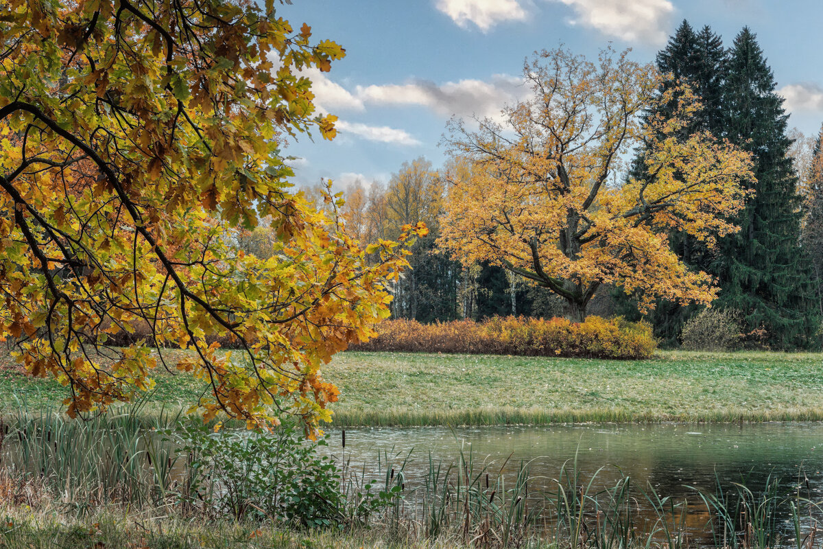 Осень - Владимир Колесников