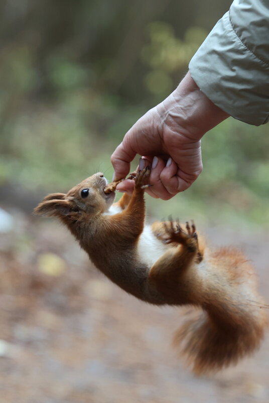 Пресс подкачаю... - Александр Кондаков