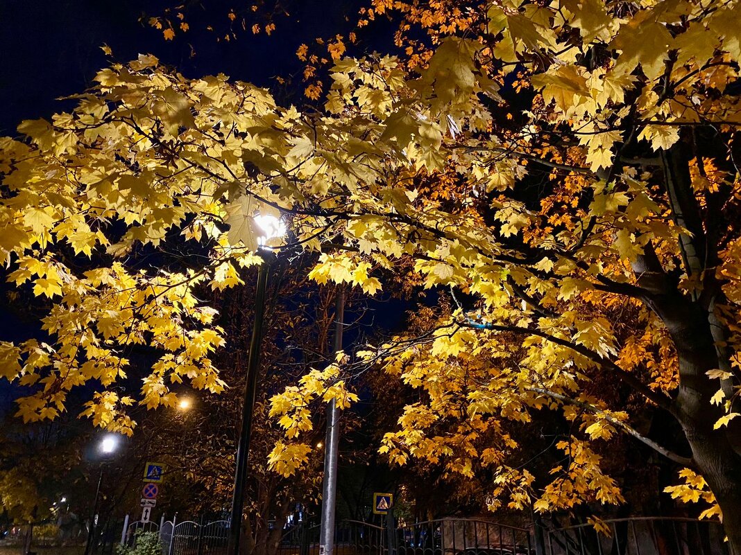 Вечер - Алевтина 