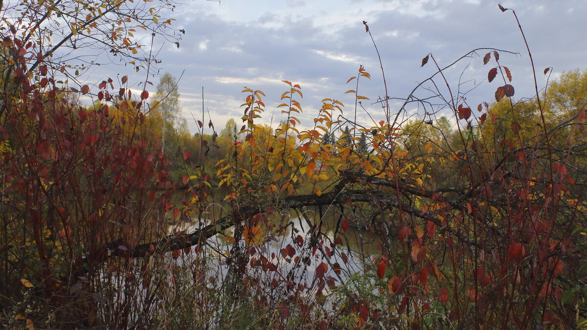 Природа лучший художник - Нина северянка