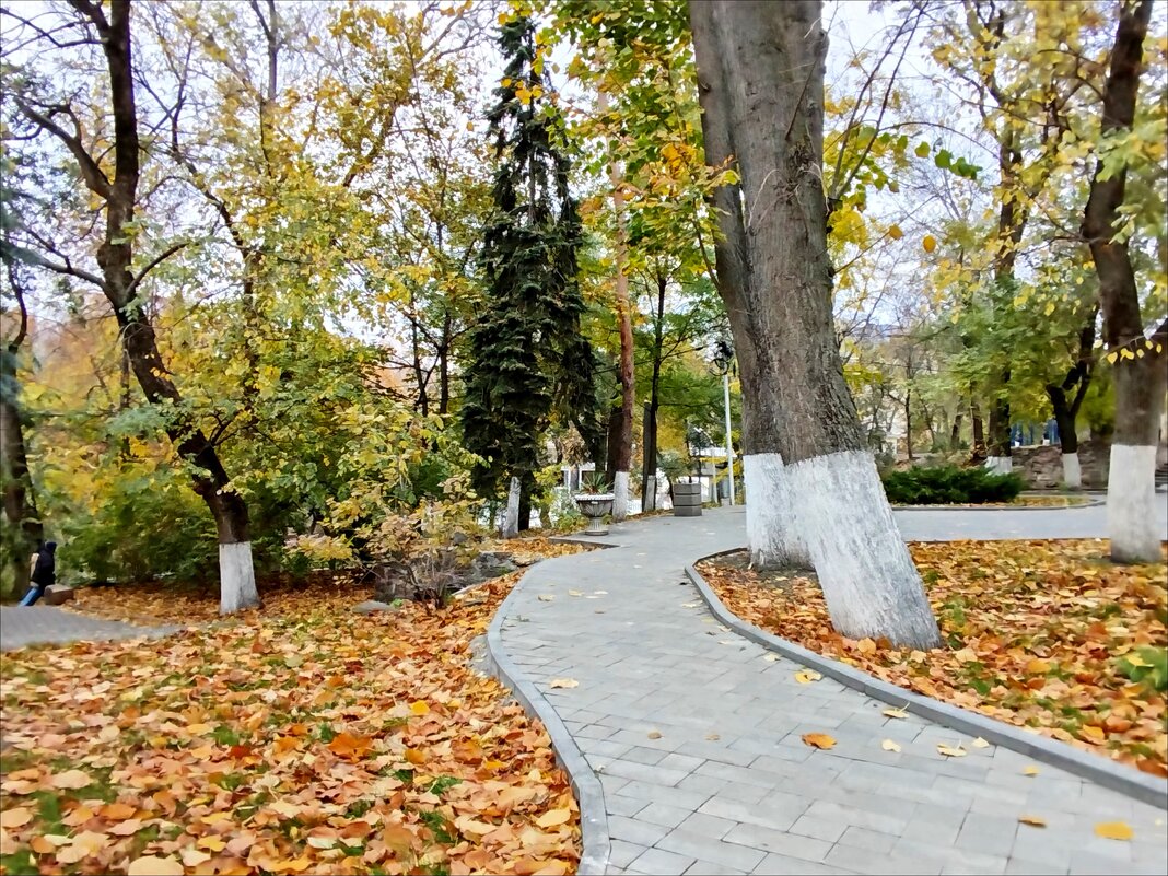 Аллеи осени! - Надежда 