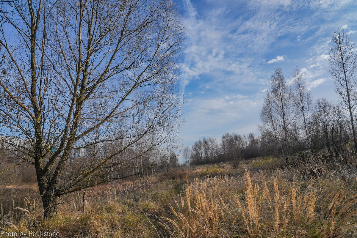 Под небом ноября... - Владимир Жданов